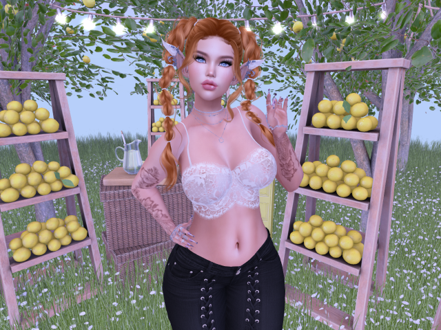 Original 65a5fd1c9b3e7a25b658ee50