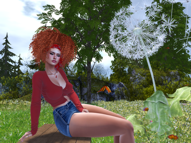 Original 67d5b15d2a4cb65a3255b462