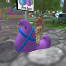 Thumb 535439eda73e2124ba000001