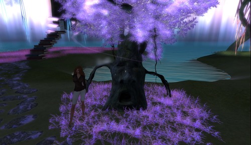 Web 53693035a73e216bd5000001