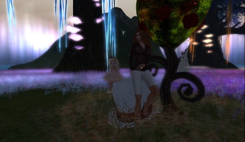 Web 536933488da5726652000001