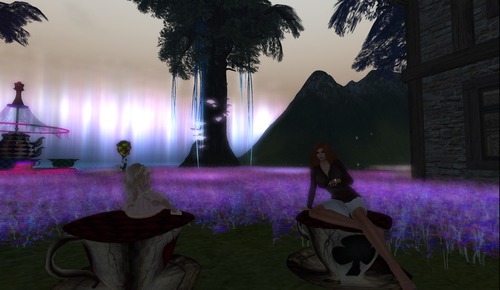 Web 536934018da5726e91000001