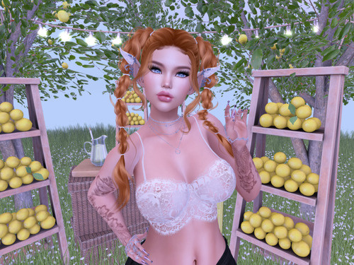 Web 65a5fcf60452e92cf82c2d1c