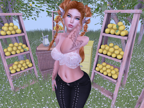 Web 65a5fdea28a2f12ff808aaf9