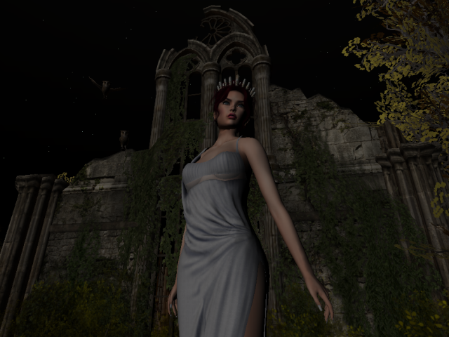 Original 619ace87b8731c4b7edc1d1b