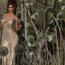 Thumb 63682694311f6f5dc01ec6ab