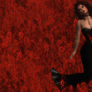 Thumb 63e7f9fae7f96e33cb6f1479