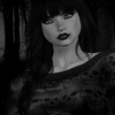 Thumb 65dd0cfb70c0d8095f415f58