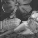 Thumb 65e2424abe672a7523264780