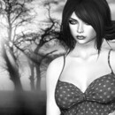 Thumb 66cba8b620ed6641c3c9928f