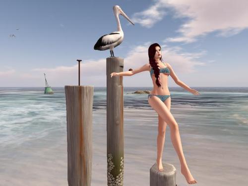 Web 6199366f8918a37750f1a09e