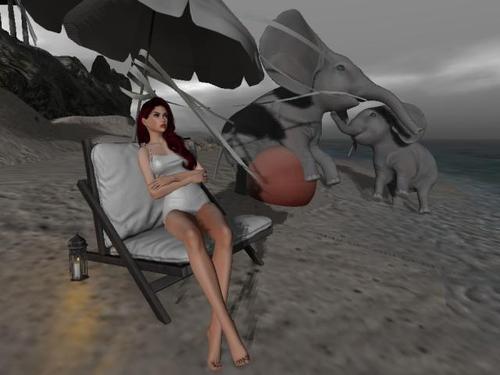 Web 619e97e5df72f85e606721b4