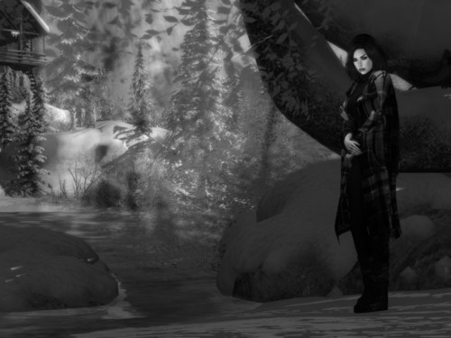 Web 6394e2e8fea8562dd5f10322