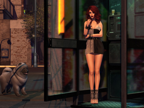 Web 63a8f6c22b50705d8a3e04f8