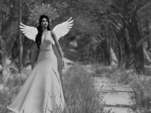 Web 63b3510d9ec0874b9b5a6c1d