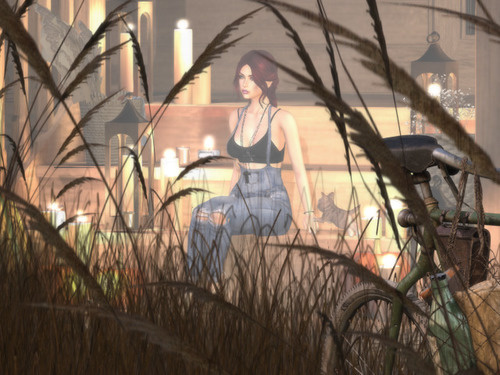 Web 63b749472a82cb7c463c6d03