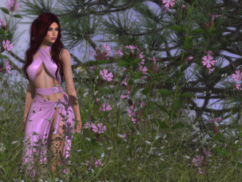 Web 63b759dffea8562e66f10322