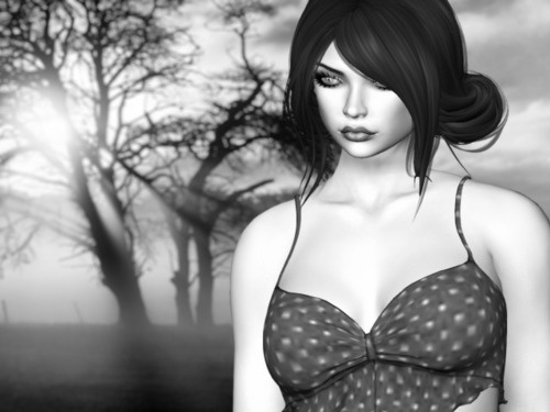 Web 66cba8b620ed6641c3c9928f