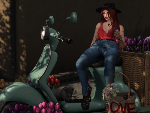 Web 66d126d72c8ed27054729709