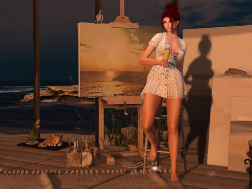 Web 66e4edf78205395c6647e3e8