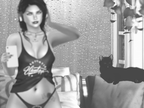 Web 67c4d8a12a4cb601c255b462