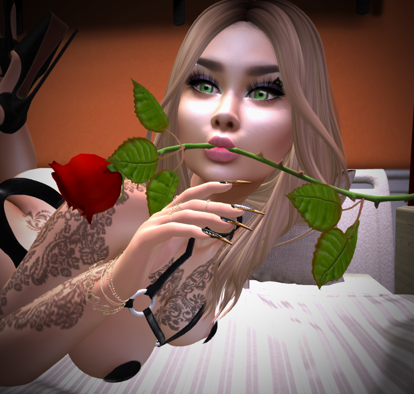 Original 5c3ceb03d774f845a6000001