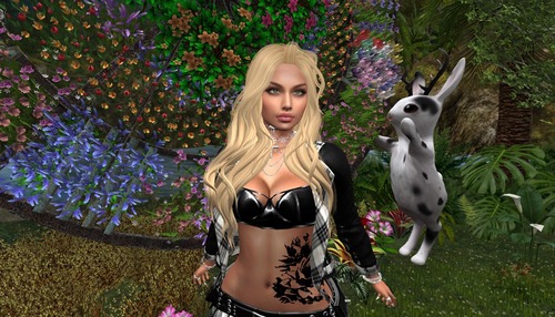 Web 58c5570be85cda0c0b000001