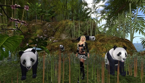 Web 58c5595db713f767b0000001