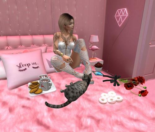 Web 5c3cf6d373ed17249a000001