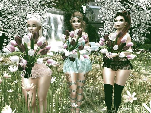 Web 5c82341873ed175a77000001