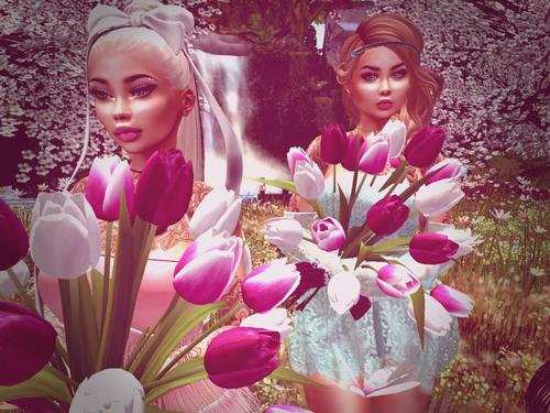 Web 5c82349ed9859c7925000001