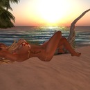 Thumb 51fab49539946a563a000001