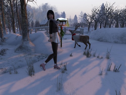 Web 529cc7009fa55e3d6d000001