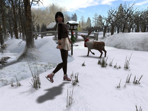 Web 529cc74c40850c778b000001