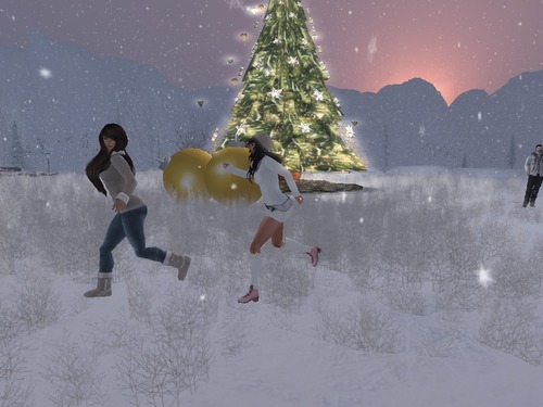 Web 529d447d40ceca77d0000001