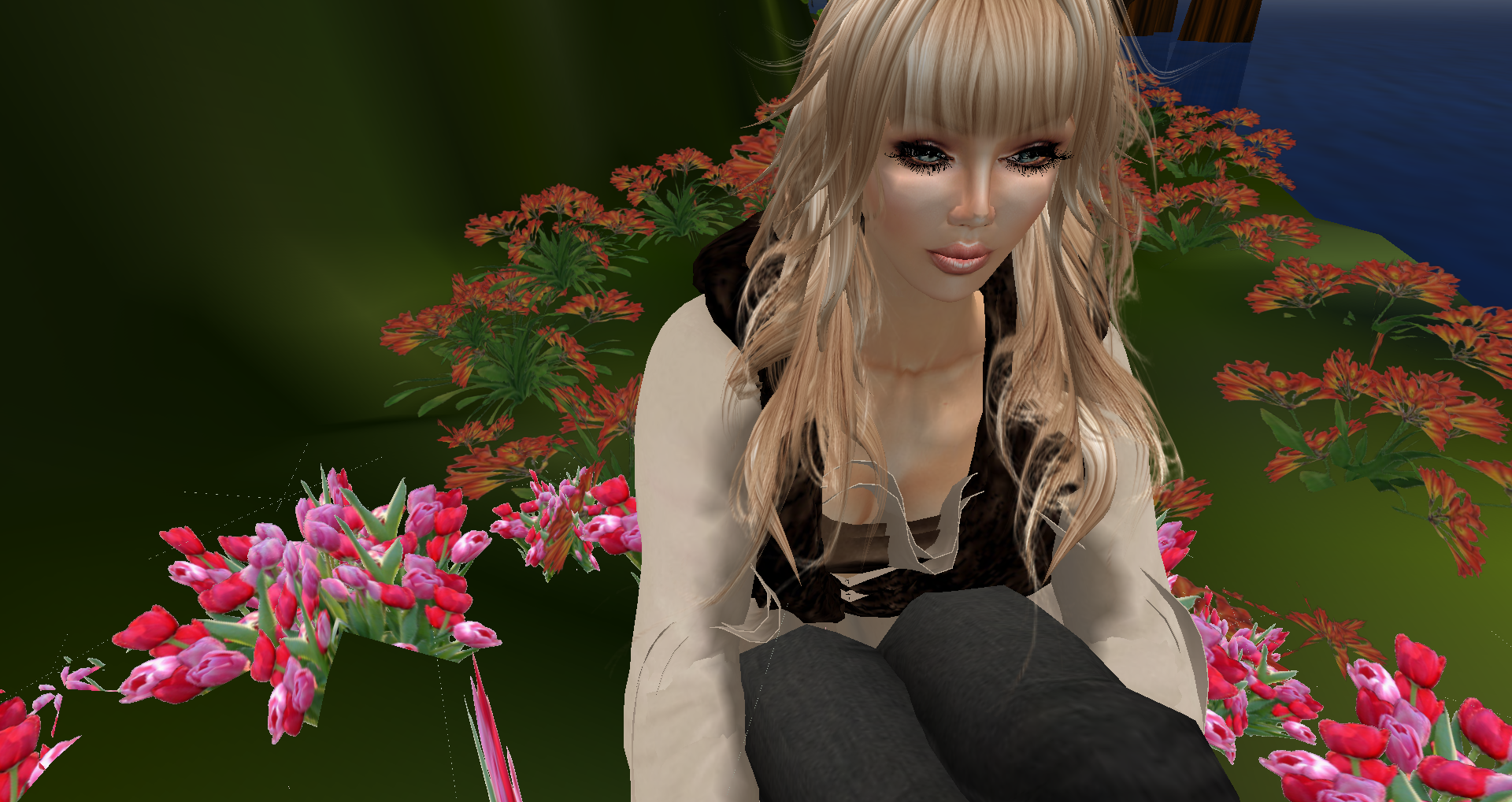 Original 51a34b5fa8f8ba36b4000001