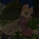 Thumb 5177dbaa03d33421c8000001