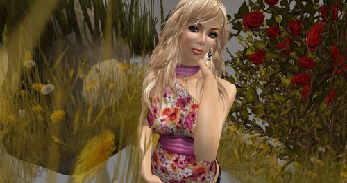 Web 519945f28a2bba0786000001