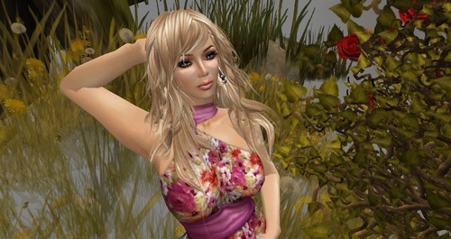 Web 519946e85c5bd85b3e000001