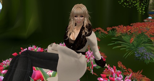 Web 51a349064fd8167277000001