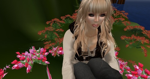 Web 51a34b5fa8f8ba36b4000001