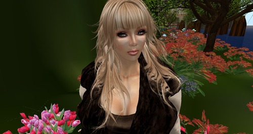 Web 51a34b994d61426f5f000001