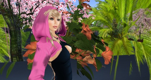 Web 51ec1825cb8c1e2b25000001