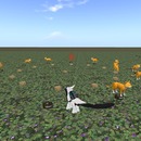 Thumb 5218b7413db32f54e7000001