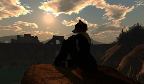 Web 525aae346b8eaa15dc000001