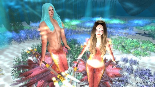 Web 53046f8da73e21595e000001