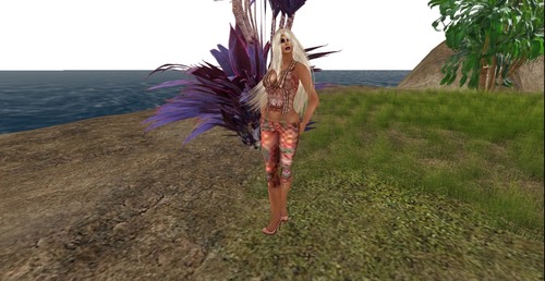 Web 5120fa9c2f07af2f4e000001