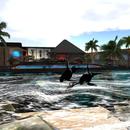 Thumb 5d0f23cdd774f8761a000001