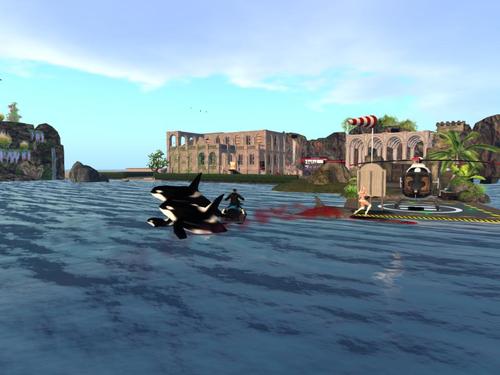 Web 5d60191073ed174e11000001