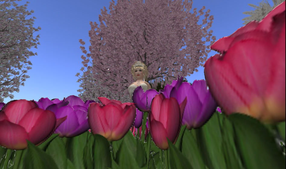 Original 52e3847a128cc9444a000001